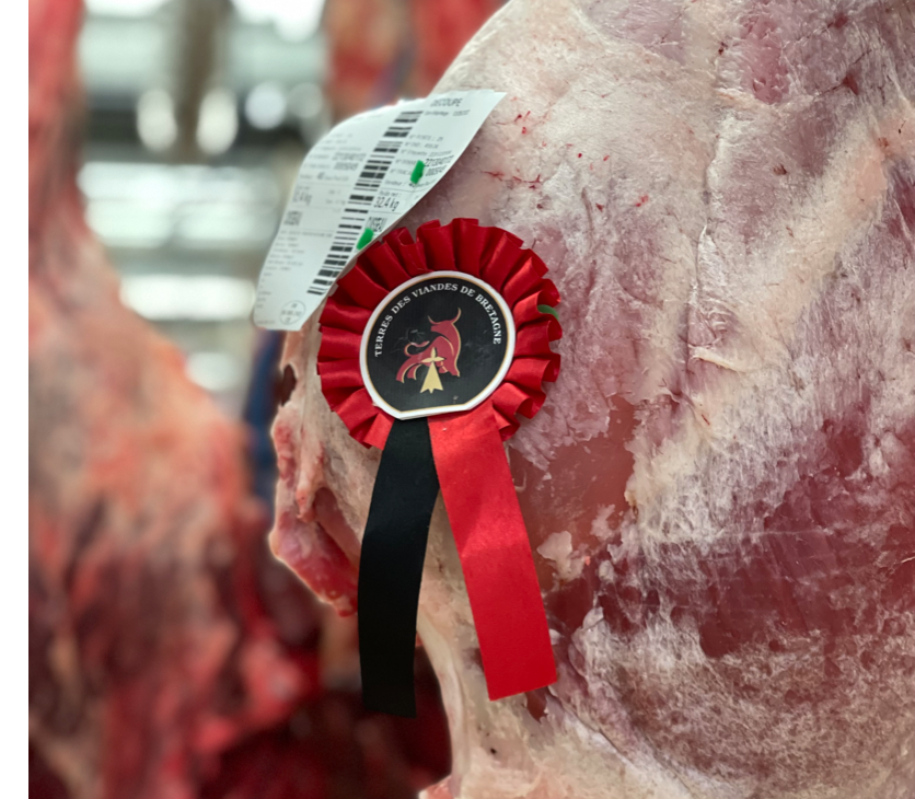 La France, au sommet des productions de viande bovine