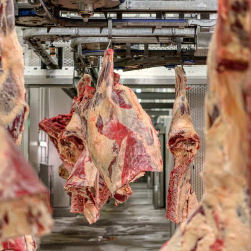 S'engager pour une filière viande plus durable et plus respectueuse de l'environnement