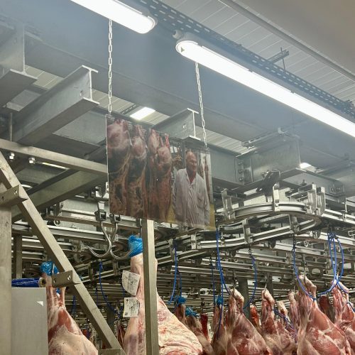 Quand Jean-Christophe Prosper sublime le porc sur notre stand !