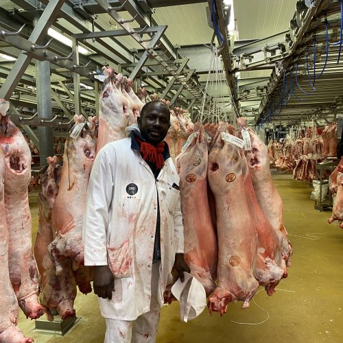 Voyage au cœur de notre stand agneau !