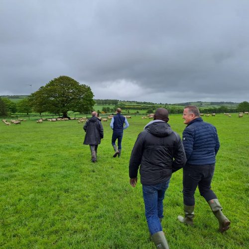 Qualité, éthique et bien-être : la promesse de nos éleveurs partenaires