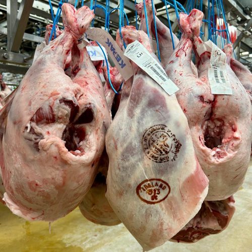 À la découverte de notre stand Halal : tradition & qualité chez GRG Maison des Viandes