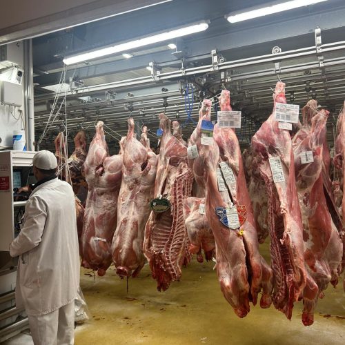 Le veau mijoté : réconfort et savoir-faire avec notre vendeur Stéphane