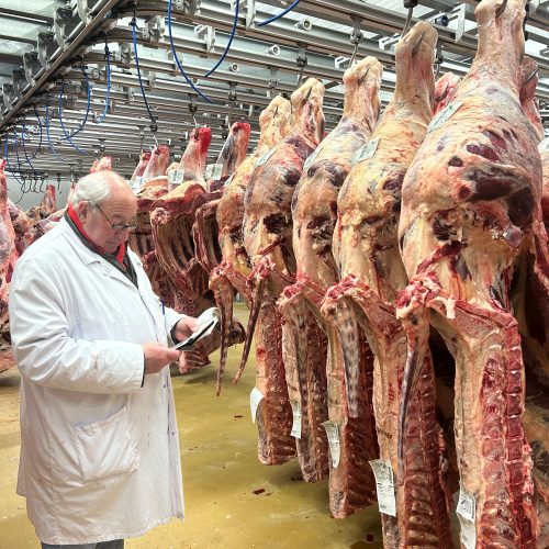 Derrière les étals : les équipes de la Maison des Viandes préparent les fêtes avec passion