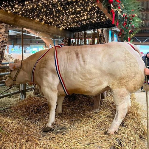 GRG Maison des Viandes vous souhaite de belles fêtes de fin d’année