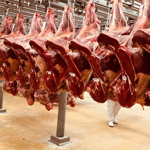 Ramadan : GRG, votre partenaire viande de confiance à Rungis