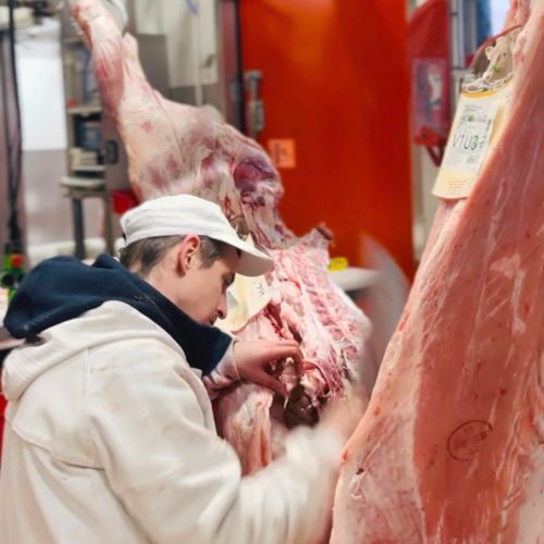 La tradition de la découpe du veau : un savoir-faire entre technique, culture et gastronomie