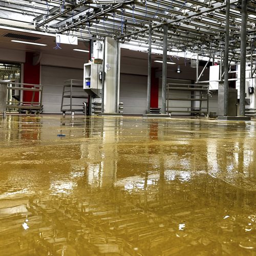 L'hygiène au cœur de notre métier : pourquoi la propreté de nos espaces est une priorité